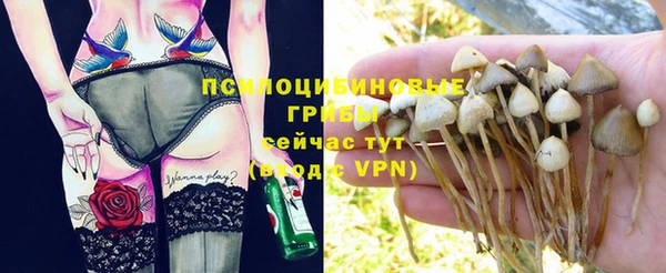 стафф Беломорск